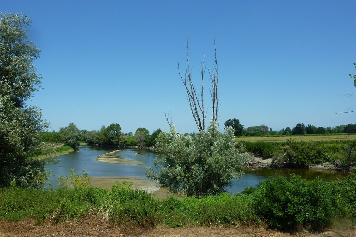 Dagli ecosistemi forestali nuova linfa per comunità e territorio